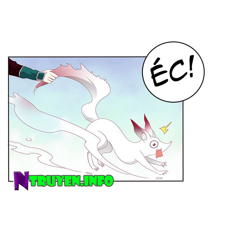 Thông Linh Phi Chapter 326 - Trang 2