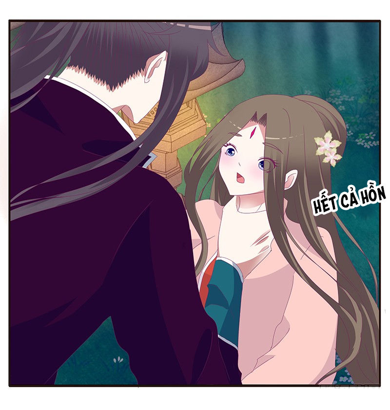 Thông Linh Phi Chapter 333 - Trang 2