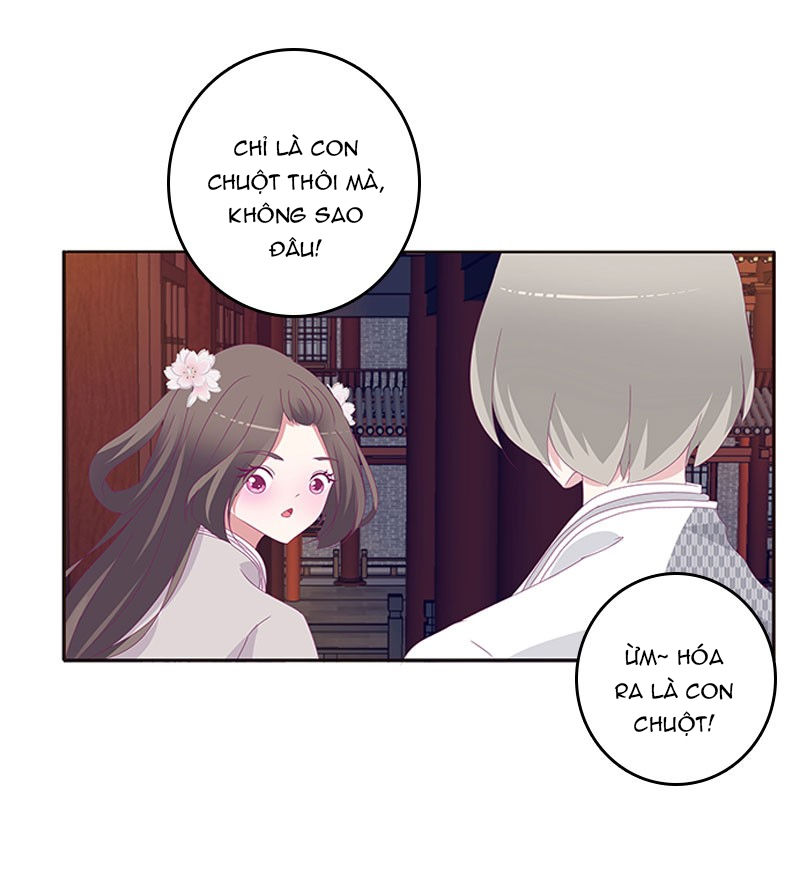 Thông Linh Phi Chapter 345 - Trang 2