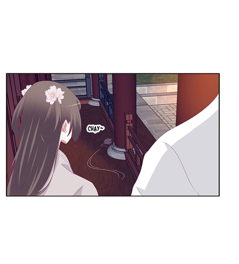 Thông Linh Phi Chapter 345 - Trang 2