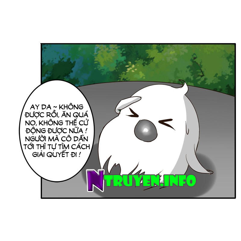 Thông Linh Phi Chapter 36 - Trang 2