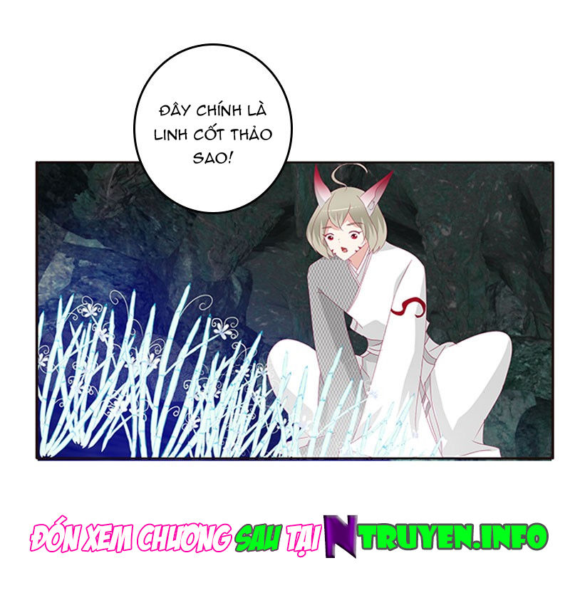 Thông Linh Phi Chapter 369 - Trang 2