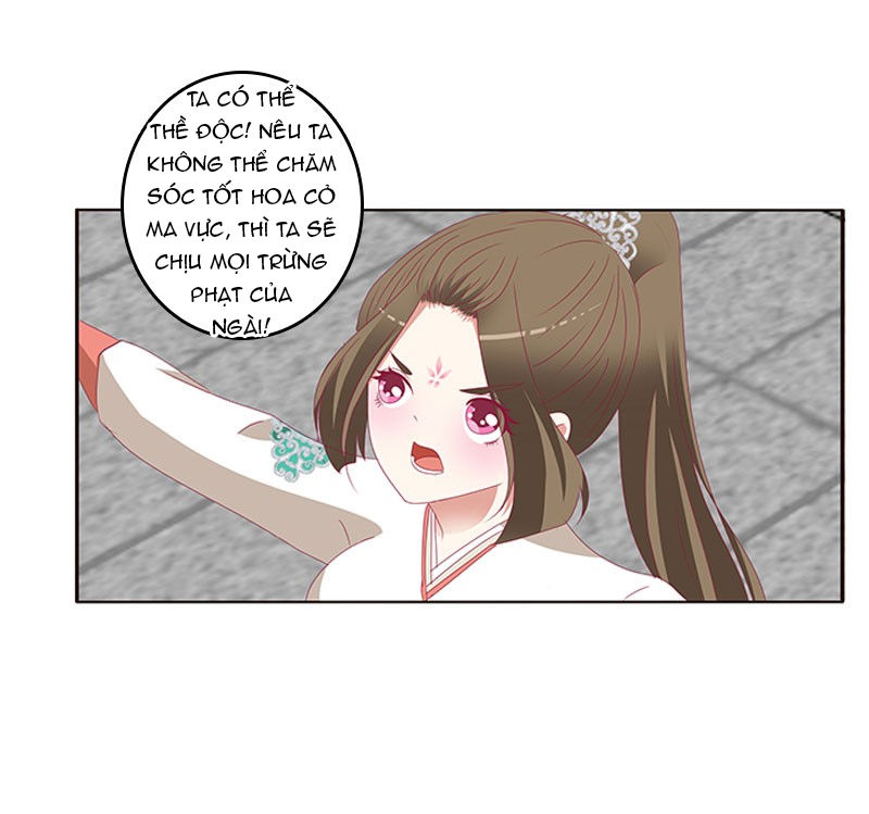 Thông Linh Phi Chapter 381 - Trang 2