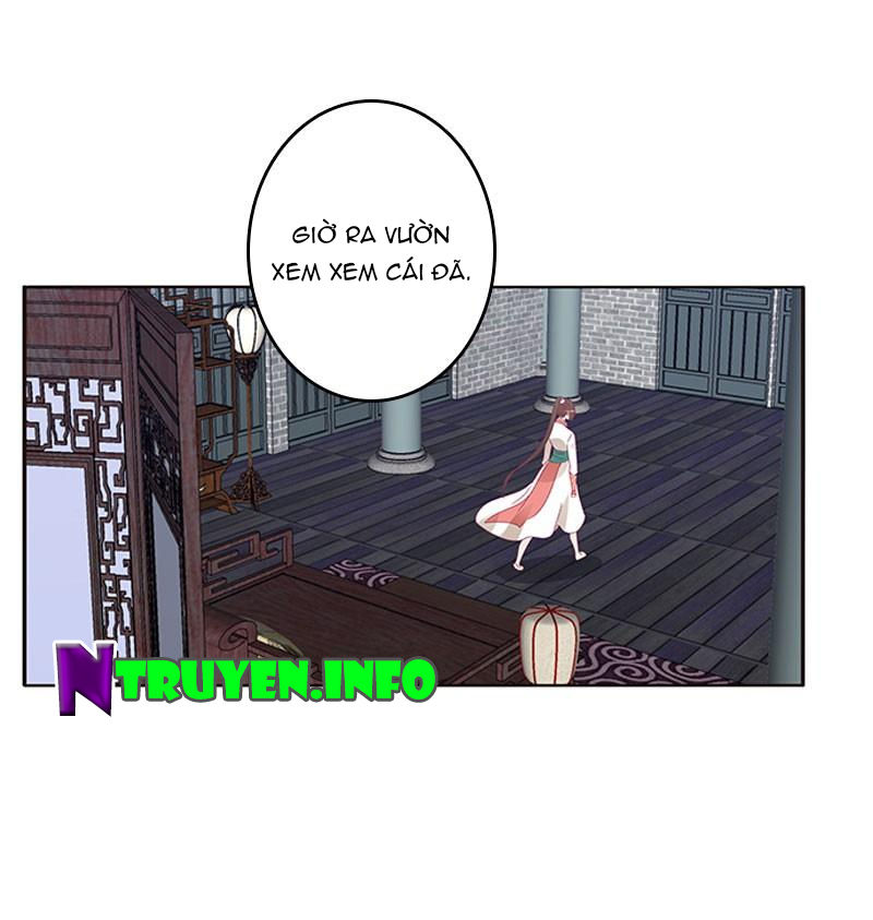 Thông Linh Phi Chapter 382 - Trang 2