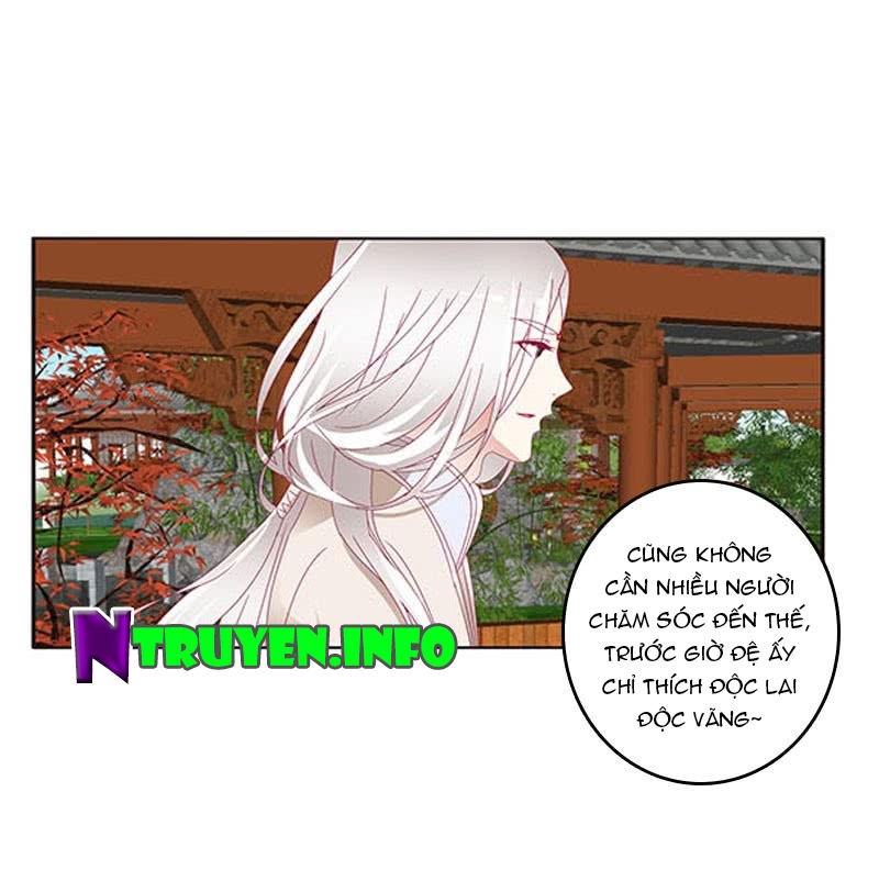 Thông Linh Phi Chapter 403 - Trang 2