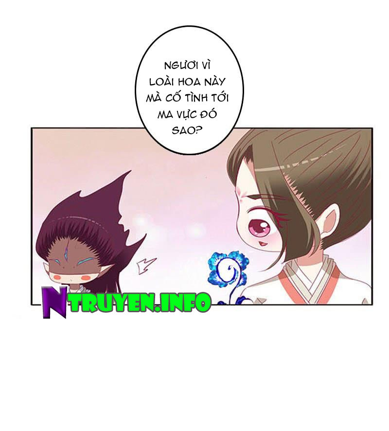 Thông Linh Phi Chapter 405 - Trang 2