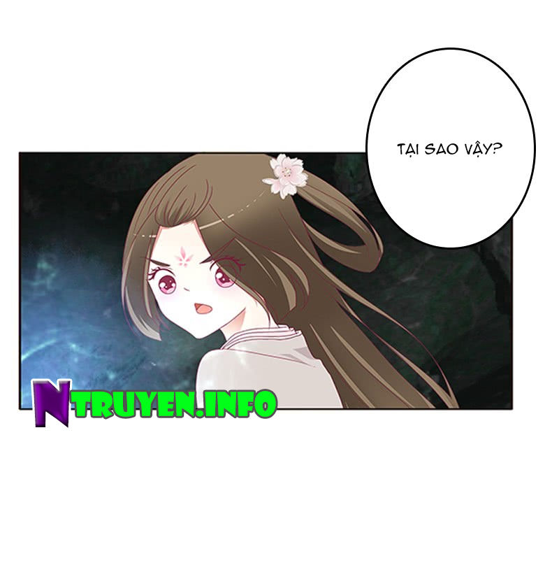 Thông Linh Phi Chapter 428 - Trang 2