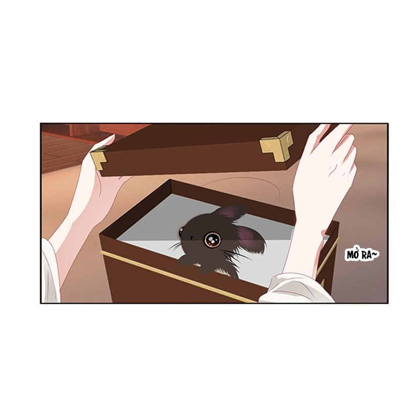 Thông Linh Phi Chapter 431 - Trang 2