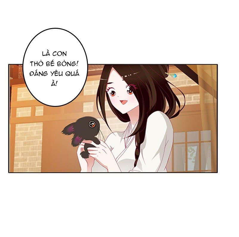 Thông Linh Phi Chapter 431 - Trang 2