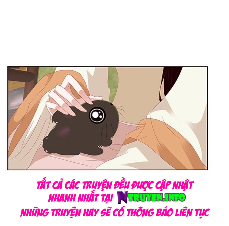 Thông Linh Phi Chapter 440 - Trang 2