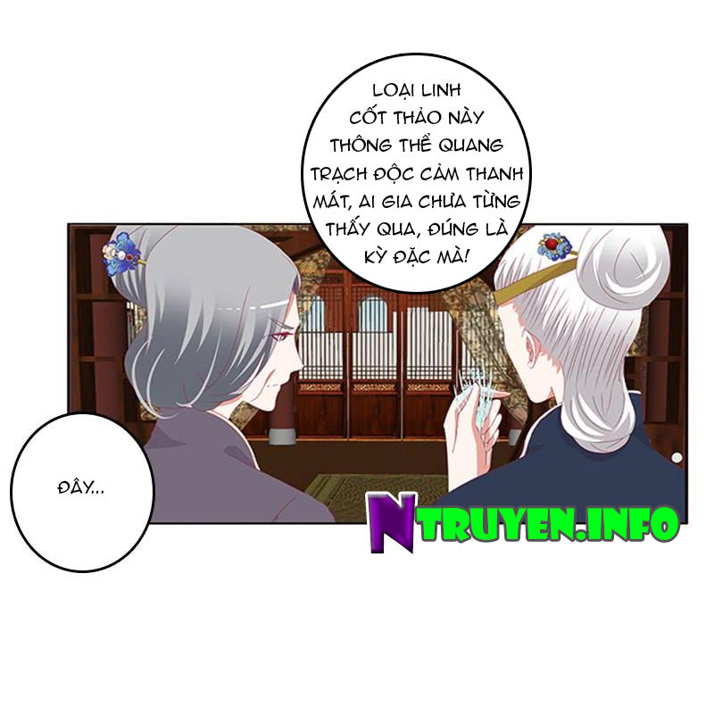 Thông Linh Phi Chapter 448 - Trang 2