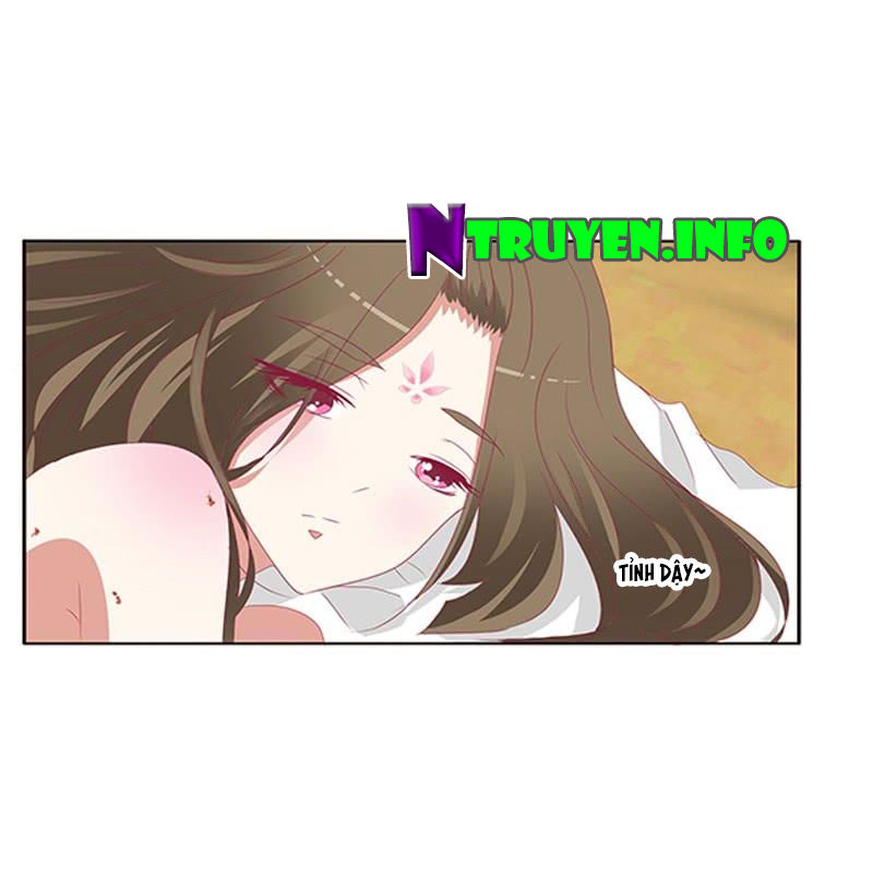 Thông Linh Phi Chapter 460 - Trang 2