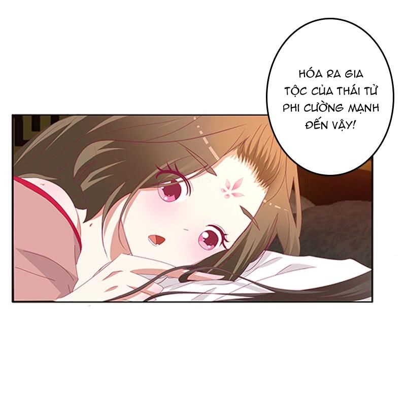 Thông Linh Phi Chapter 471 - Trang 2