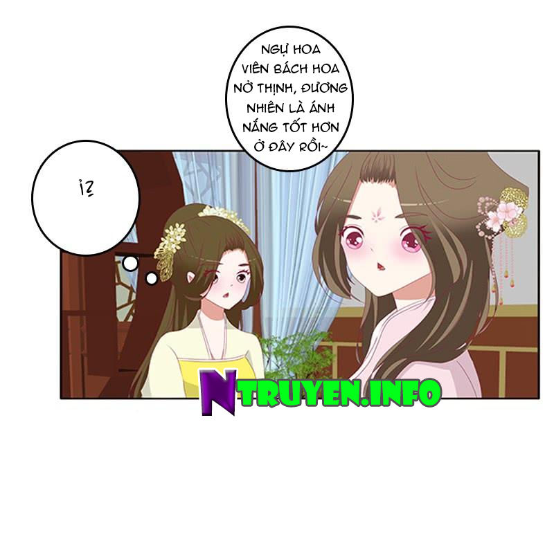 Thông Linh Phi Chapter 496 - Trang 2