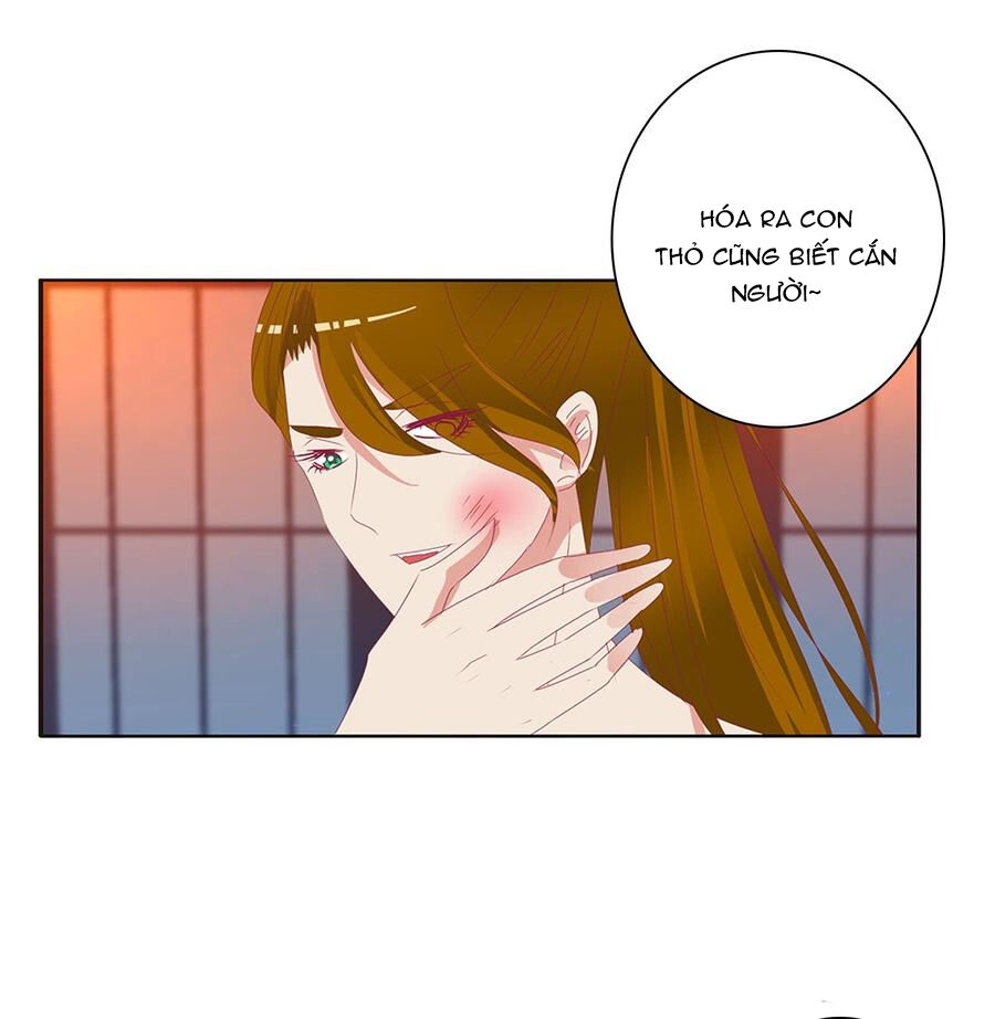 Thông Linh Phi Chapter 542 - Trang 2