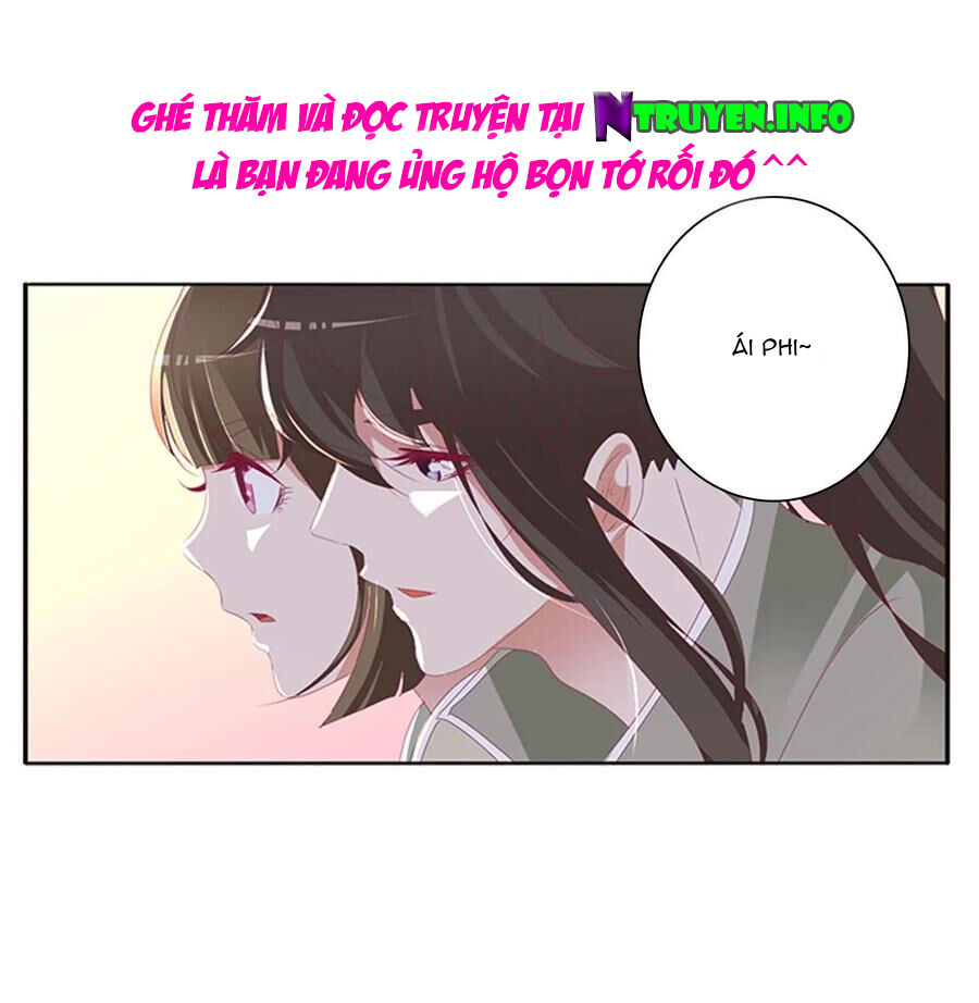 Thông Linh Phi Chapter 561 - Trang 2