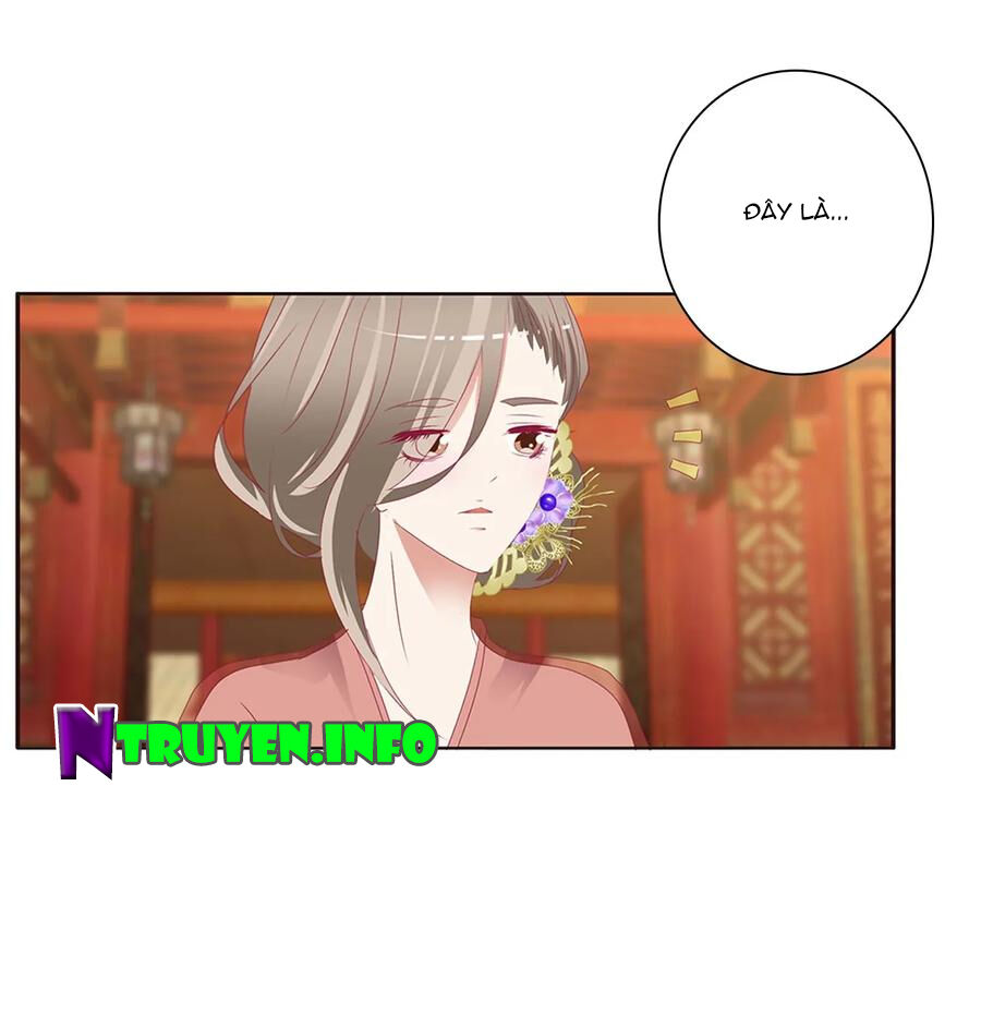 Thông Linh Phi Chapter 564 - Trang 2