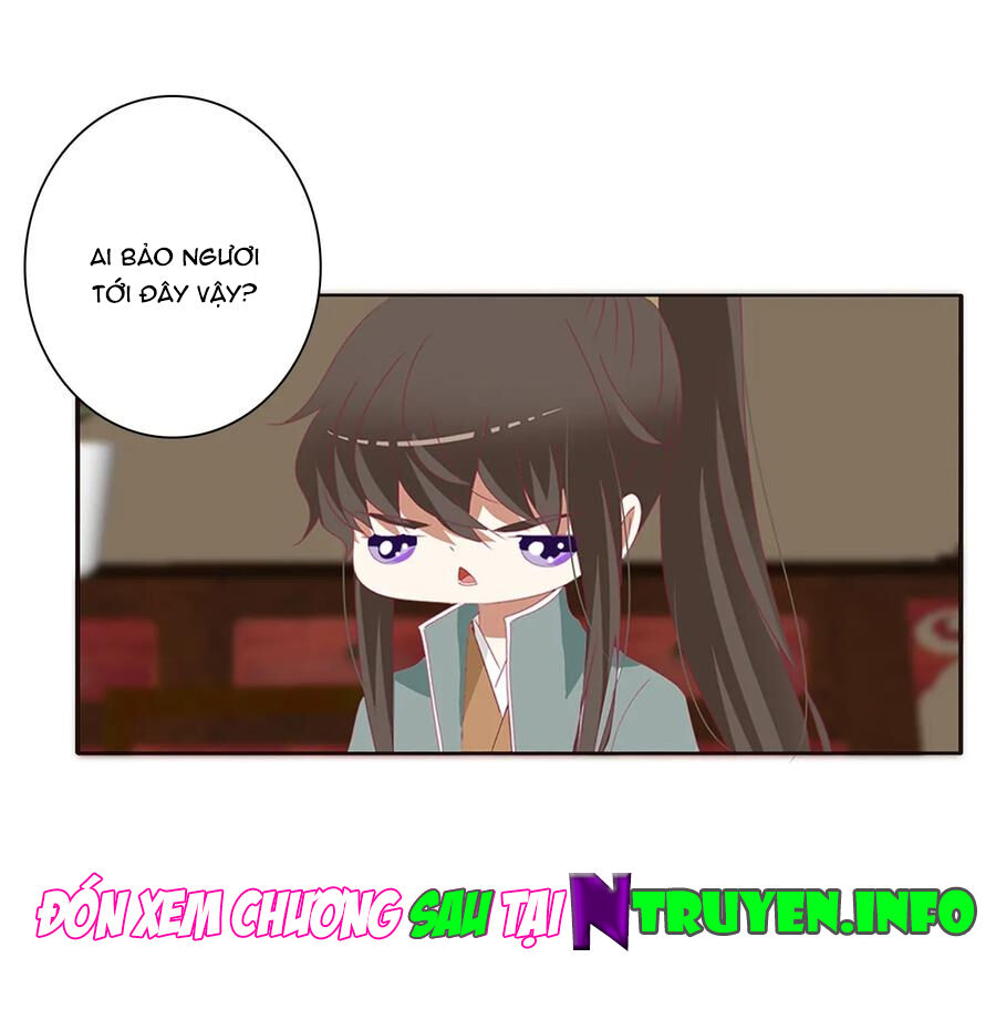 Thông Linh Phi Chapter 565 - Trang 2