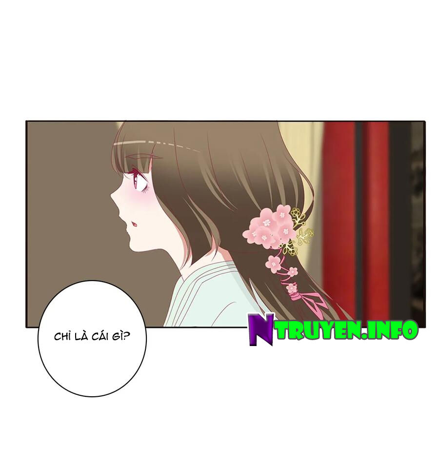 Thông Linh Phi Chapter 567 - Trang 2