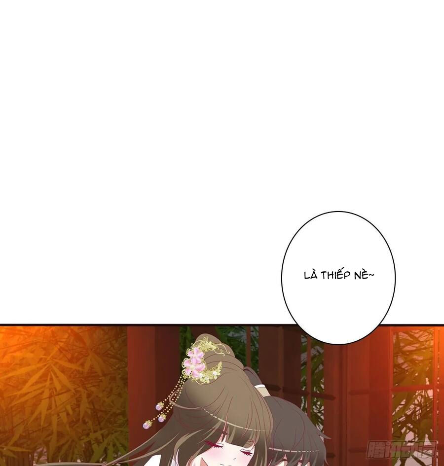 Thông Linh Phi Chapter 575 - Trang 2