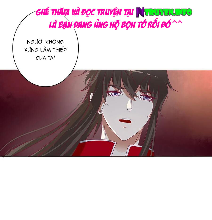 Thông Linh Phi Chapter 593 - Trang 2