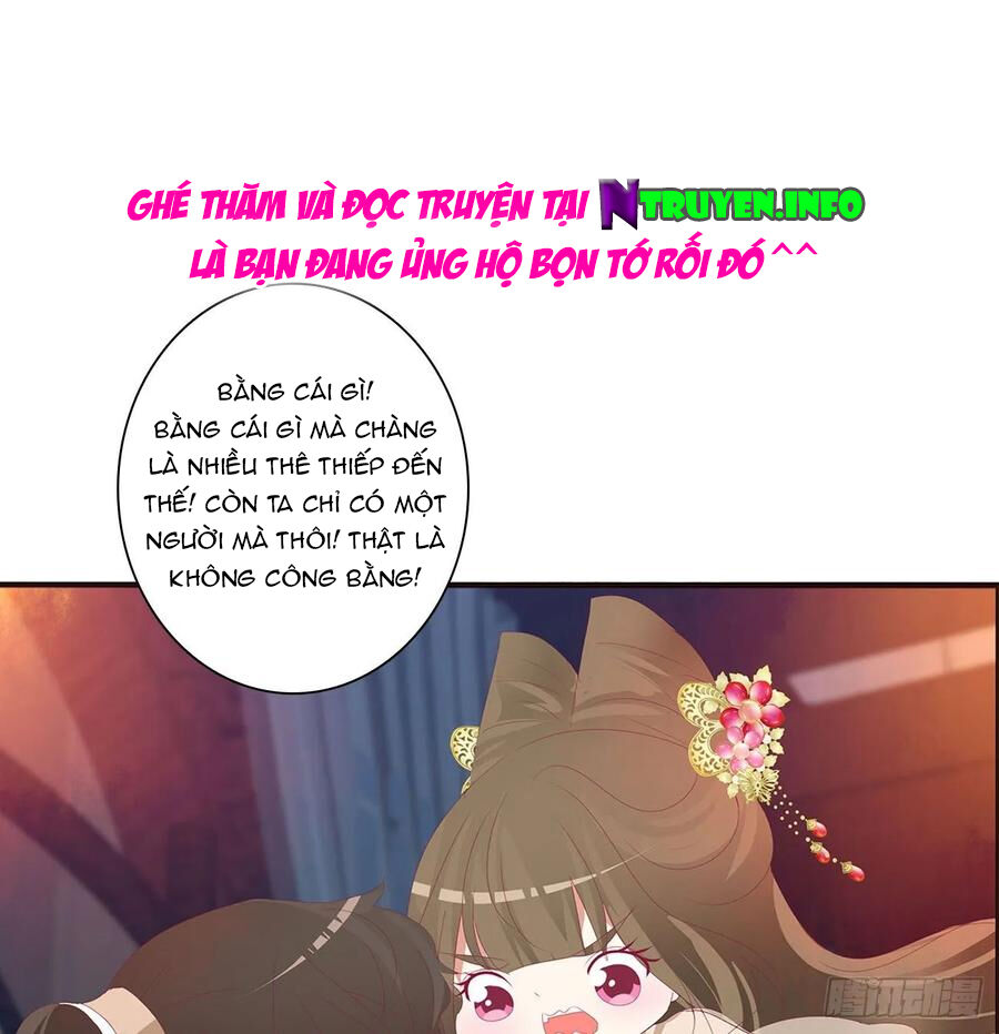 Thông Linh Phi Chapter 596 - Trang 2