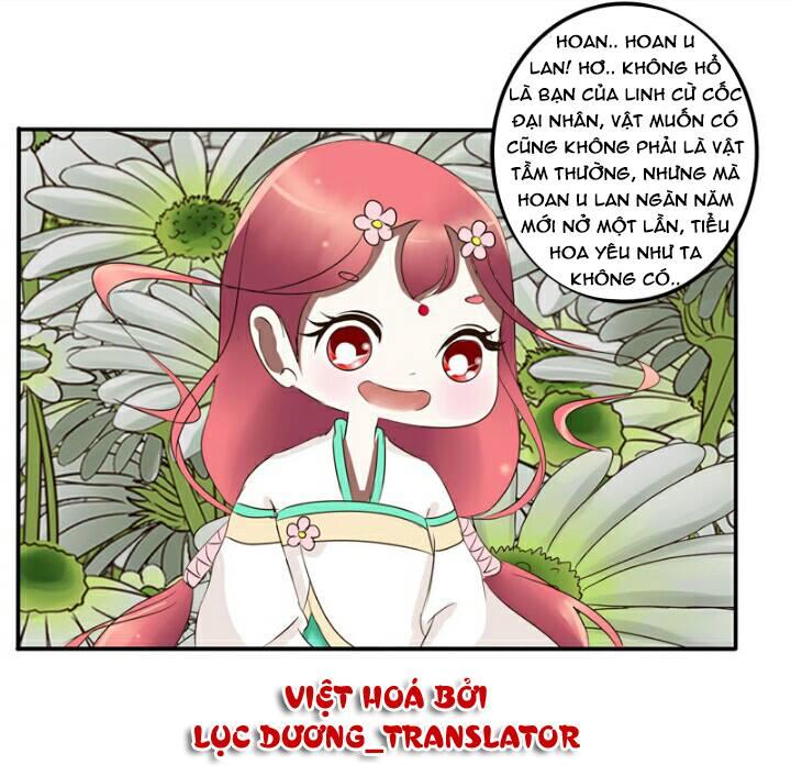 Thông Linh Phi Chapter 60 - Trang 2