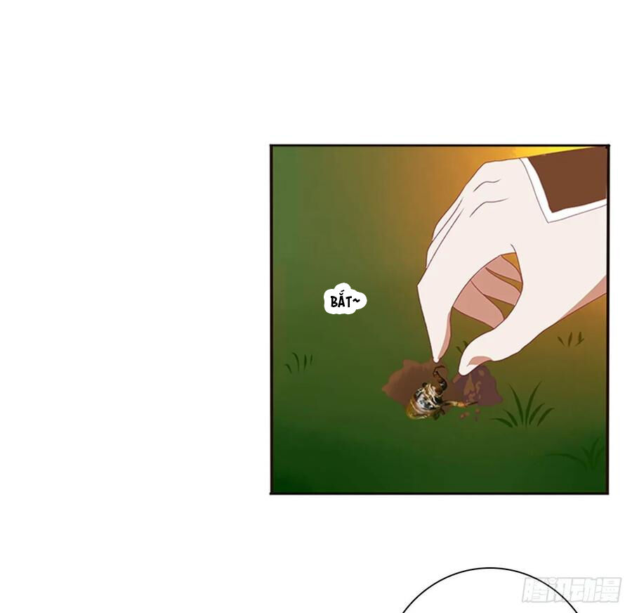 Thông Linh Phi Chapter 626 - Trang 2