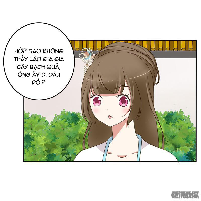 Thông Linh Phi Chapter 91 - Trang 2