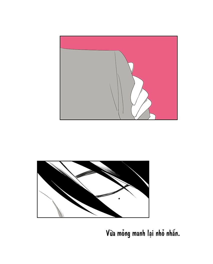 Thú Cưng Của Tôi Là Dơi Chapter 17 - Trang 2