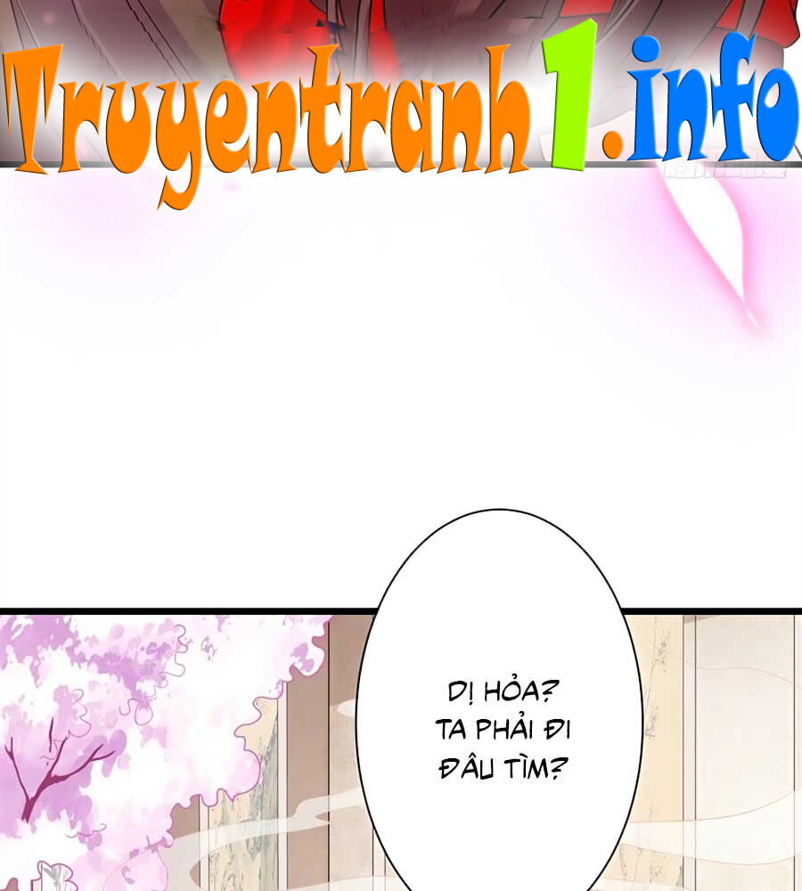 Thú Hắc Cuồng Phi Chapter 17 - Trang 2