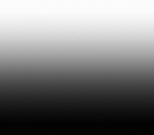 Thứ Mà Đôi Ta Mong Muốn Chapter 70.1 - Trang 2