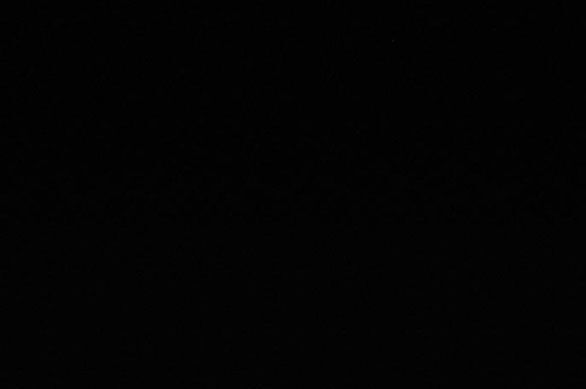 Thứ Mà Đôi Ta Mong Muốn Chapter 71.1 - Trang 2