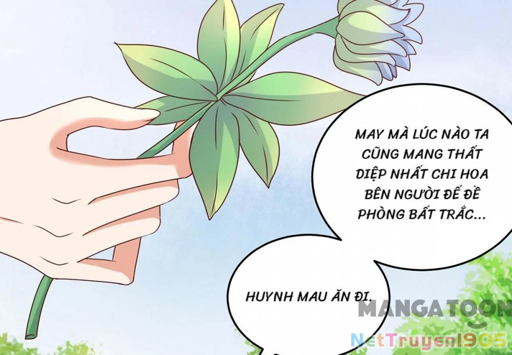 Thú Thế Cuồng Phi: Bất Đương Dị Giới Nữ Hải Vương Chapter 117 - Trang 2