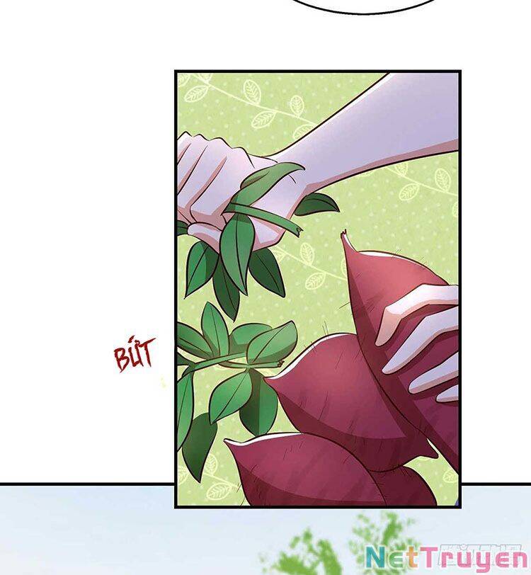 Thú Thế Cuồng Phi: Bất Đương Dị Giới Nữ Hải Vương Chapter 35 - Trang 2