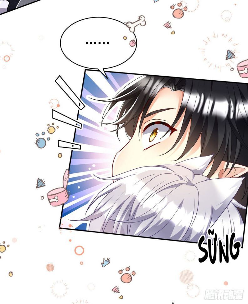 Thú Thụ Bất Thân Dẫn Sói Vào Nhà Chapter 114 - Trang 2