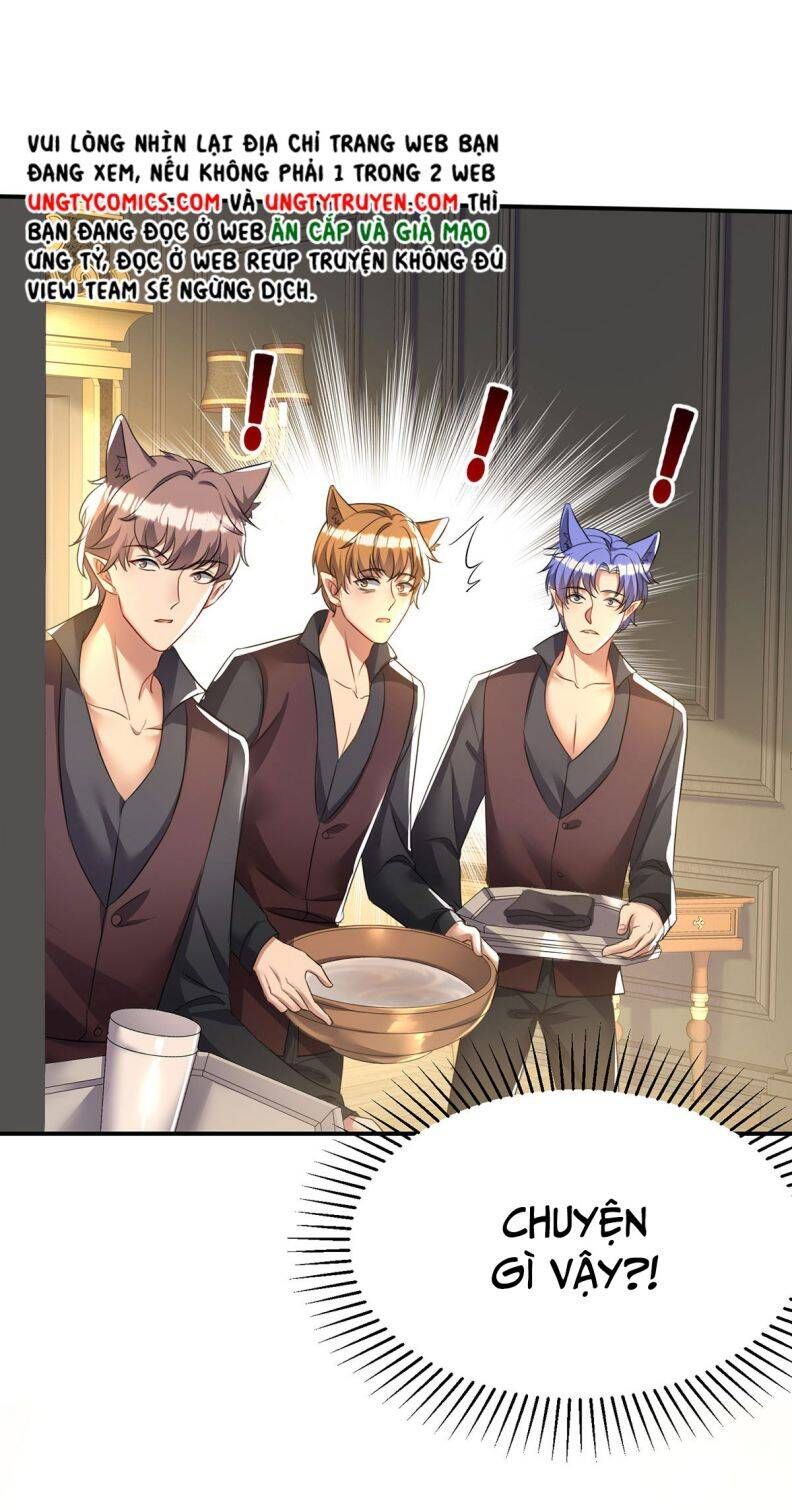 Thú Thụ Bất Thân Dẫn Sói Vào Nhà Chapter 115 - Trang 2