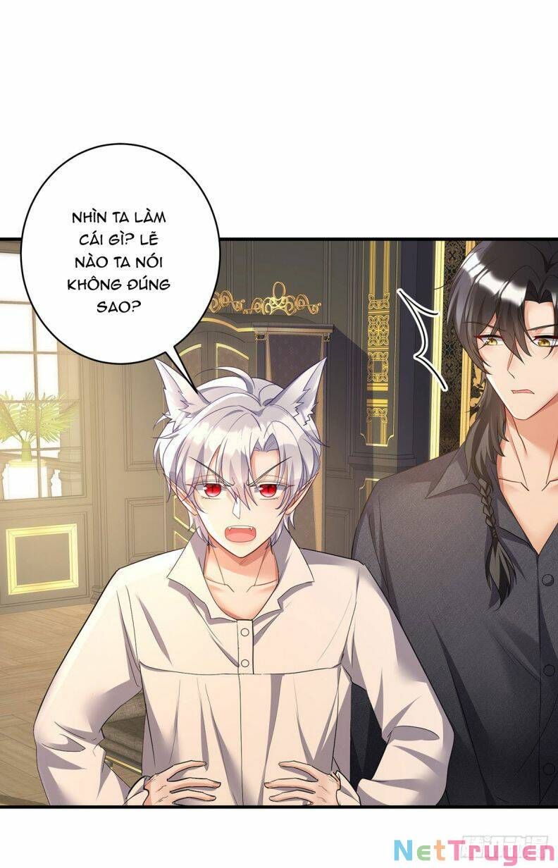 Thú Thụ Bất Thân Dẫn Sói Vào Nhà Chapter 117 - Trang 2