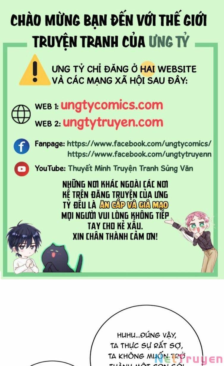 Thú Thụ Bất Thân Dẫn Sói Vào Nhà Chapter 117 - Trang 2