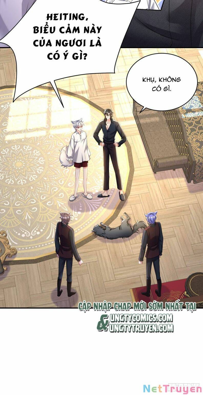 Thú Thụ Bất Thân Dẫn Sói Vào Nhà Chapter 117 - Trang 2