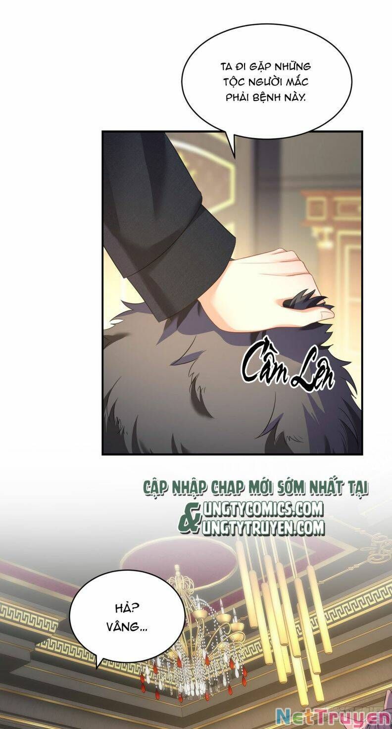 Thú Thụ Bất Thân Dẫn Sói Vào Nhà Chapter 117 - Trang 2