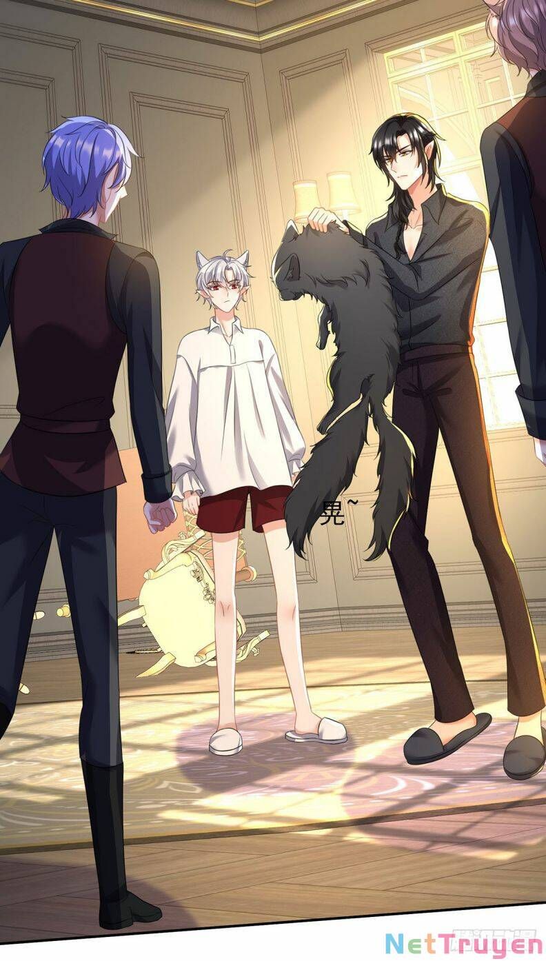 Thú Thụ Bất Thân Dẫn Sói Vào Nhà Chapter 117 - Trang 2