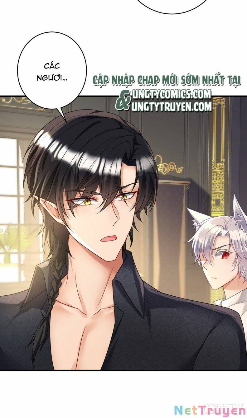 Thú Thụ Bất Thân Dẫn Sói Vào Nhà Chapter 117 - Trang 2