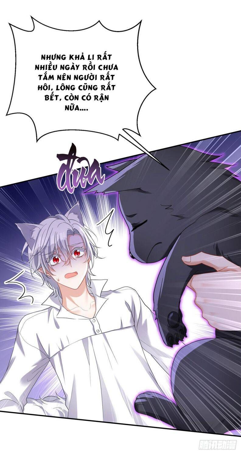 Thú Thụ Bất Thân Dẫn Sói Vào Nhà Chapter 118 - Trang 2
