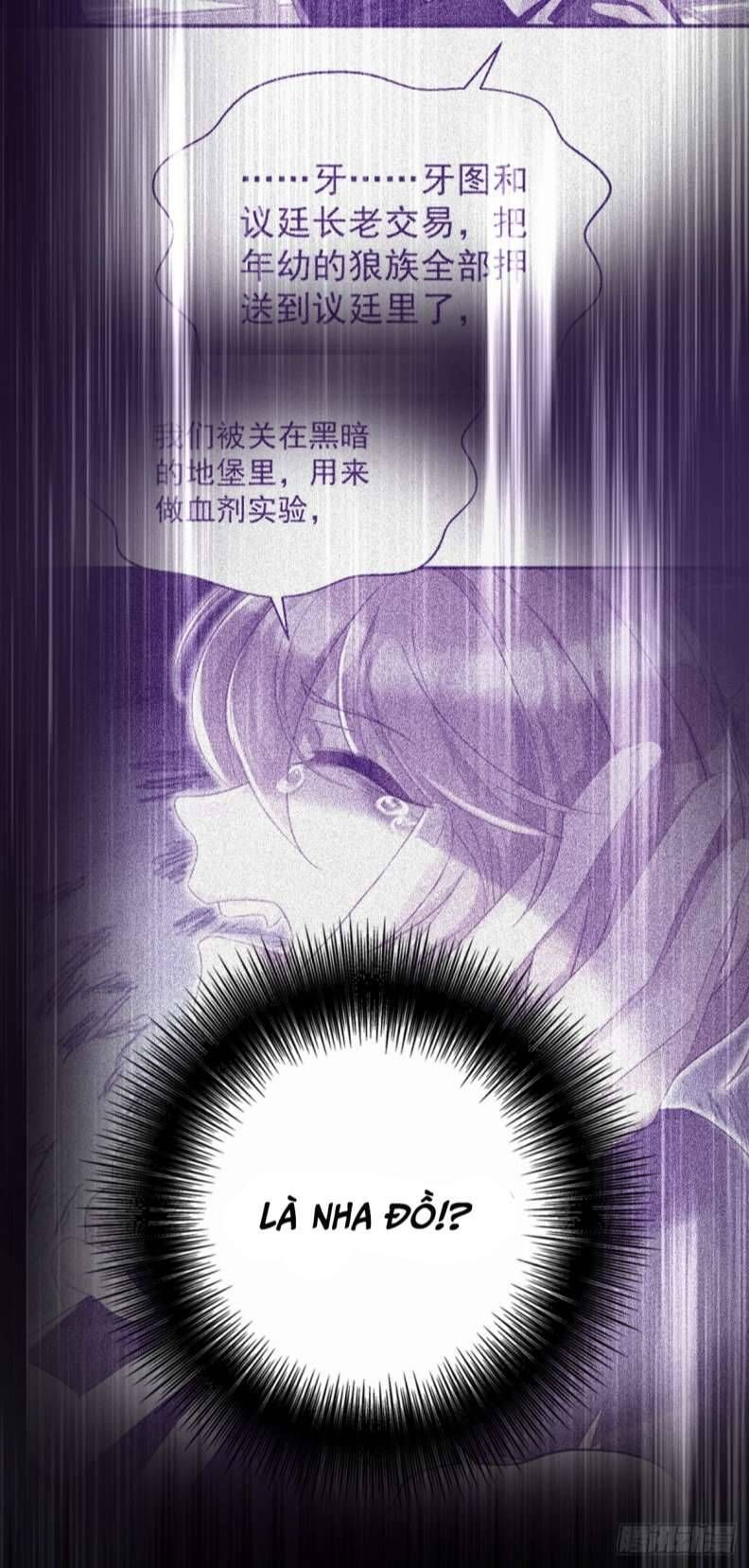 Thú Thụ Bất Thân Dẫn Sói Vào Nhà Chapter 120 - Trang 2