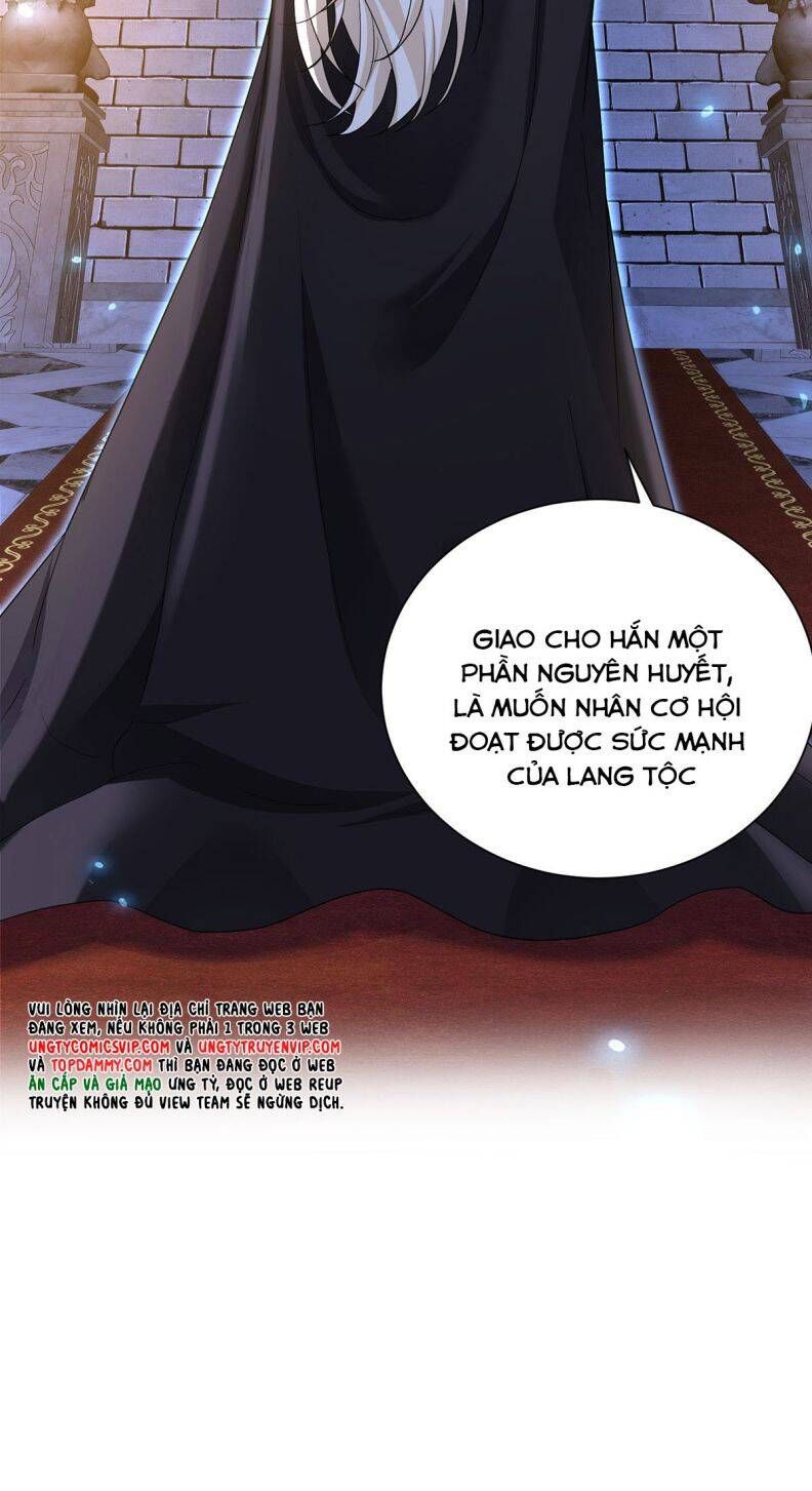 Thú Thụ Bất Thân Dẫn Sói Vào Nhà Chapter 147 - Trang 2