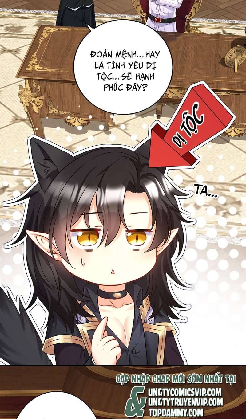 Thú Thụ Bất Thân Dẫn Sói Vào Nhà Chapter 161 - Trang 2