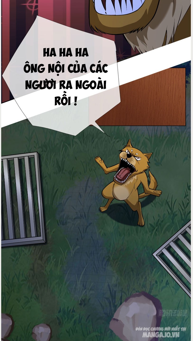 Thu Triệu Vạn Đồ Đệ, Vi Sư Vô Địch Thế Gian Chapter 3 - Trang 2