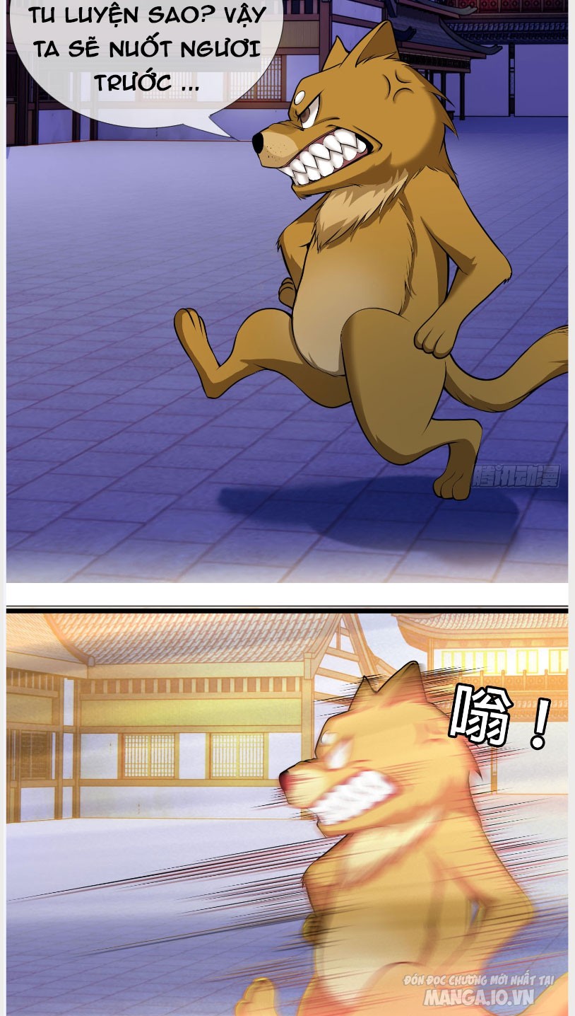 Thu Triệu Vạn Đồ Đệ, Vi Sư Vô Địch Thế Gian Chapter 3 - Trang 2