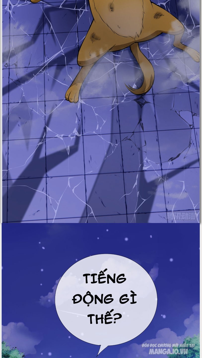 Thu Triệu Vạn Đồ Đệ, Vi Sư Vô Địch Thế Gian Chapter 3 - Trang 2